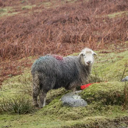 Сasa de vacaciones Penny Bridge House Ulverston